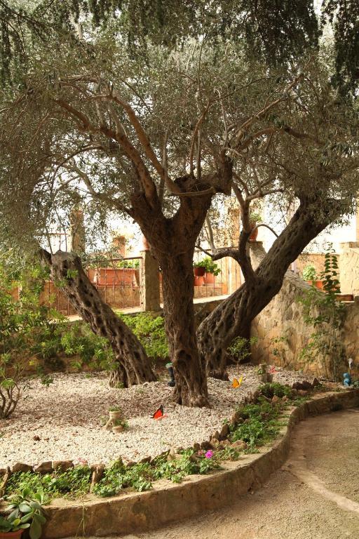 B&B Villa Casablanca エンナ エクステリア 写真